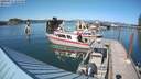 ./images/quadra/hbidock/20200817/hbidock20200817_162500M.jpg