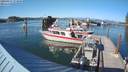 ./images/quadra/hbidock/20200817/hbidock20200817_173500M.jpg