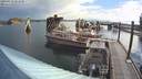 ./images/quadra/hbidock/20200818/hbidock20200818_081500M.jpg