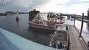 ./images/quadra/hbidock/20200818/hbidock20200818_082000M.jpg
