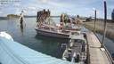 ./images/quadra/hbidock/20200818/hbidock20200818_112000M.jpg