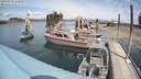 ./images/quadra/hbidock/20200818/hbidock20200818_133000M.jpg