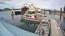 ./images/quadra/hbidock/20200818/hbidock20200818_150500M.jpg