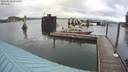 ./images/quadra/hbidock/20200820/hbidock20200820_092501M.jpg