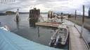 ./images/quadra/hbidock/20200821/hbidock20200821_141000M.jpg