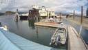 ./images/quadra/hbidock/20200821/hbidock20200821_150500M.jpg