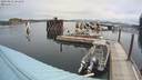 ./images/quadra/hbidock/20200823/hbidock20200823_101500M.jpg