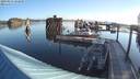 ./images/quadra/hbidock/20200824/hbidock20200824_082000M.jpg