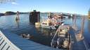 ./images/quadra/hbidock/20200825/hbidock20200825_191500M.jpg