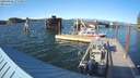./images/quadra/hbidock/20200826/hbidock20200826_175500M.jpg