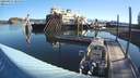 ./images/quadra/hbidock/20200827/hbidock20200827_085000M.jpg