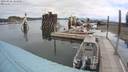 ./images/quadra/hbidock/20200828/hbidock20200828_104500M.jpg