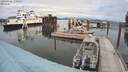 ./images/quadra/hbidock/20200828/hbidock20200828_130500M.jpg