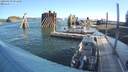 ./images/quadra/hbidock/20200829/hbidock20200829_091000M.jpg
