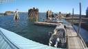 ./images/quadra/hbidock/20200829/hbidock20200829_095000M.jpg