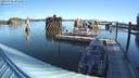 ./images/quadra/hbidock/20200902/hbidock20200902_091500M.jpg
