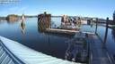 ./images/quadra/hbidock/20200902/hbidock20200902_092000M.jpg