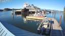 ./images/quadra/hbidock/20200902/hbidock20200902_174500M.jpg