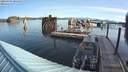 ./images/quadra/hbidock/20200907/hbidock20200907_091500M.jpg