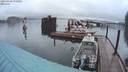 ./images/quadra/hbidock/20200920/hbidock20200920_070000M.jpg