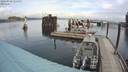 ./images/quadra/hbidock/20200920/hbidock20200920_114500M.jpg