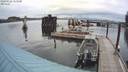 ./images/quadra/hbidock/20200922/hbidock20200922_153500M.jpg