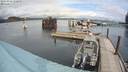 ./images/quadra/hbidock/20200924/hbidock20200924_132000M.jpg