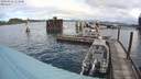 ./images/quadra/hbidock/20200925/hbidock20200925_114500M.jpg