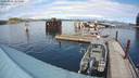 ./images/quadra/hbidock/20200925/hbidock20200925_141500M.jpg