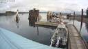./images/quadra/hbidock/20200926/hbidock20200926_103000M.jpg