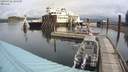 ./images/quadra/hbidock/20200926/hbidock20200926_105500M.jpg