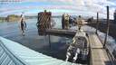 ./images/quadra/hbidock/20200928/hbidock20200928_094500M.jpg