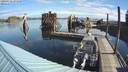 ./images/quadra/hbidock/20200928/hbidock20200928_095500M.jpg