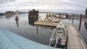 ./images/quadra/hbidock/20201005/hbidock20201005_154500M.jpg