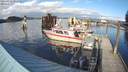 ./images/quadra/hbidock/20210222/hbidock20210222_154500M.jpg