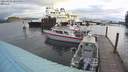 ./images/quadra/hbidock/20210301/hbidock20210301_085500M.jpg