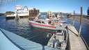 ./images/quadra/hbidock/20210315/hbidock20210315_143000M.jpg