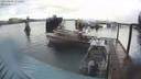 ./images/quadra/hbidock/20210407/hbidock20210407_171000M.jpg