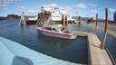 ./images/quadra/hbidock/20210411/hbidock20210411_124500M.jpg