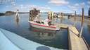 ./images/quadra/hbidock/20210411/hbidock20210411_141500M.jpg