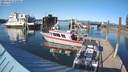./images/quadra/hbidock/20210415/hbidock20210415_172000M.jpg