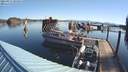 ./images/quadra/hbidock/20210417/hbidock20210417_091500M.jpg