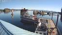 ./images/quadra/hbidock/20210419/hbidock20210419_092000M.jpg