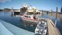 ./images/quadra/hbidock/20210419/hbidock20210419_145500M.jpg