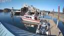 ./images/quadra/hbidock/20210420/hbidock20210420_170500M.jpg