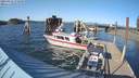 ./images/quadra/hbidock/20210421/hbidock20210421_172500M.jpg