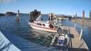 ./images/quadra/hbidock/20210421/hbidock20210421_173500M.jpg