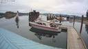 ./images/quadra/hbidock/20210429/hbidock20210429_175500M.jpg