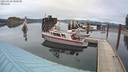 ./images/quadra/hbidock/20210429/hbidock20210429_180500M.jpg