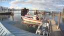 ./images/quadra/hbidock/20210430/hbidock20210430_185500M.jpg
